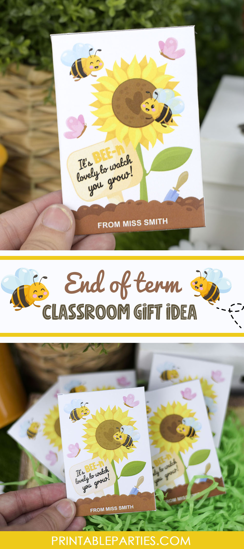classroom gift, seed envelope classroom gift, seed envelope